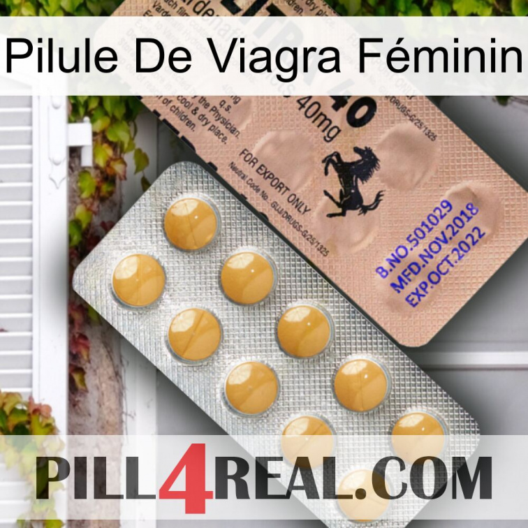 Pilule De Viagra Féminin 41